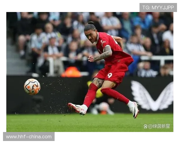 努涅斯的崛起与挑战：探讨这位新星在足球界的未来潜力与发展方向